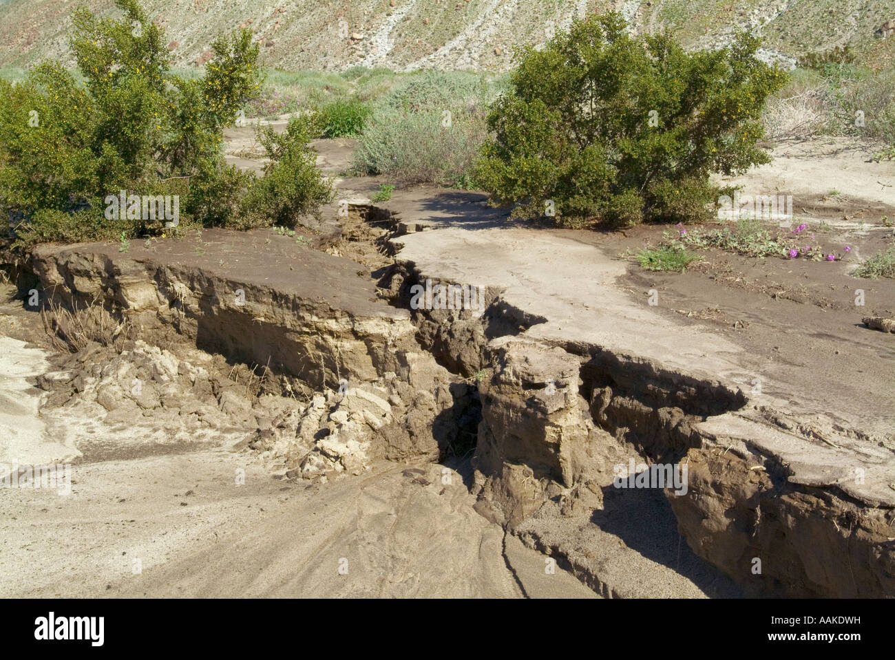 Drainage erosion hi-res stock photography and images - Alamy