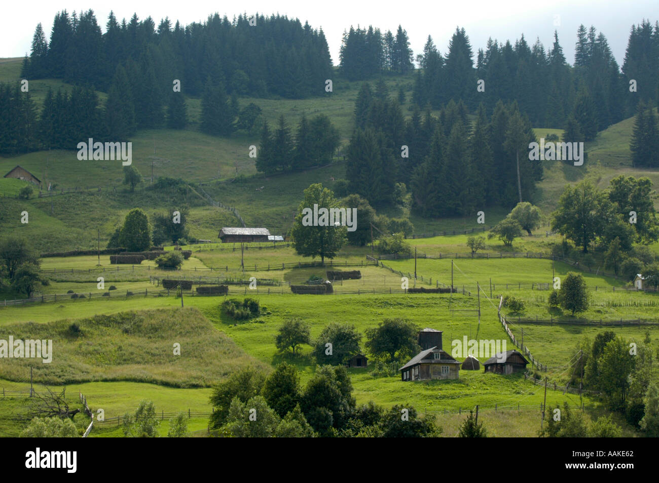 Ukrainian Carpathian Mountains near Verhovyna Stock Photo