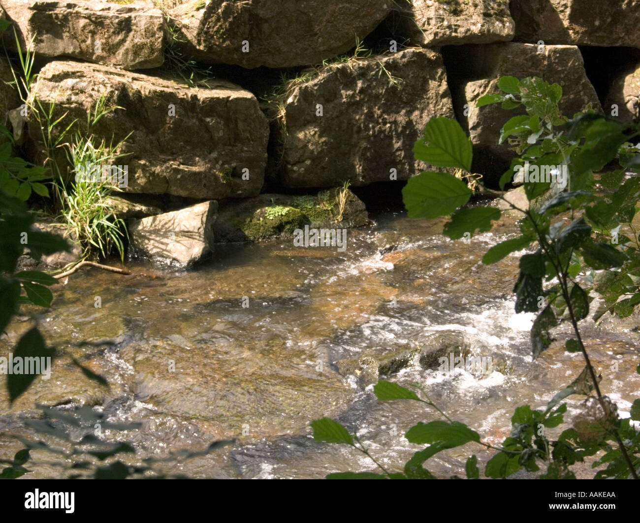 Bubbling Stream Devon England UK Stock Photo Alamy