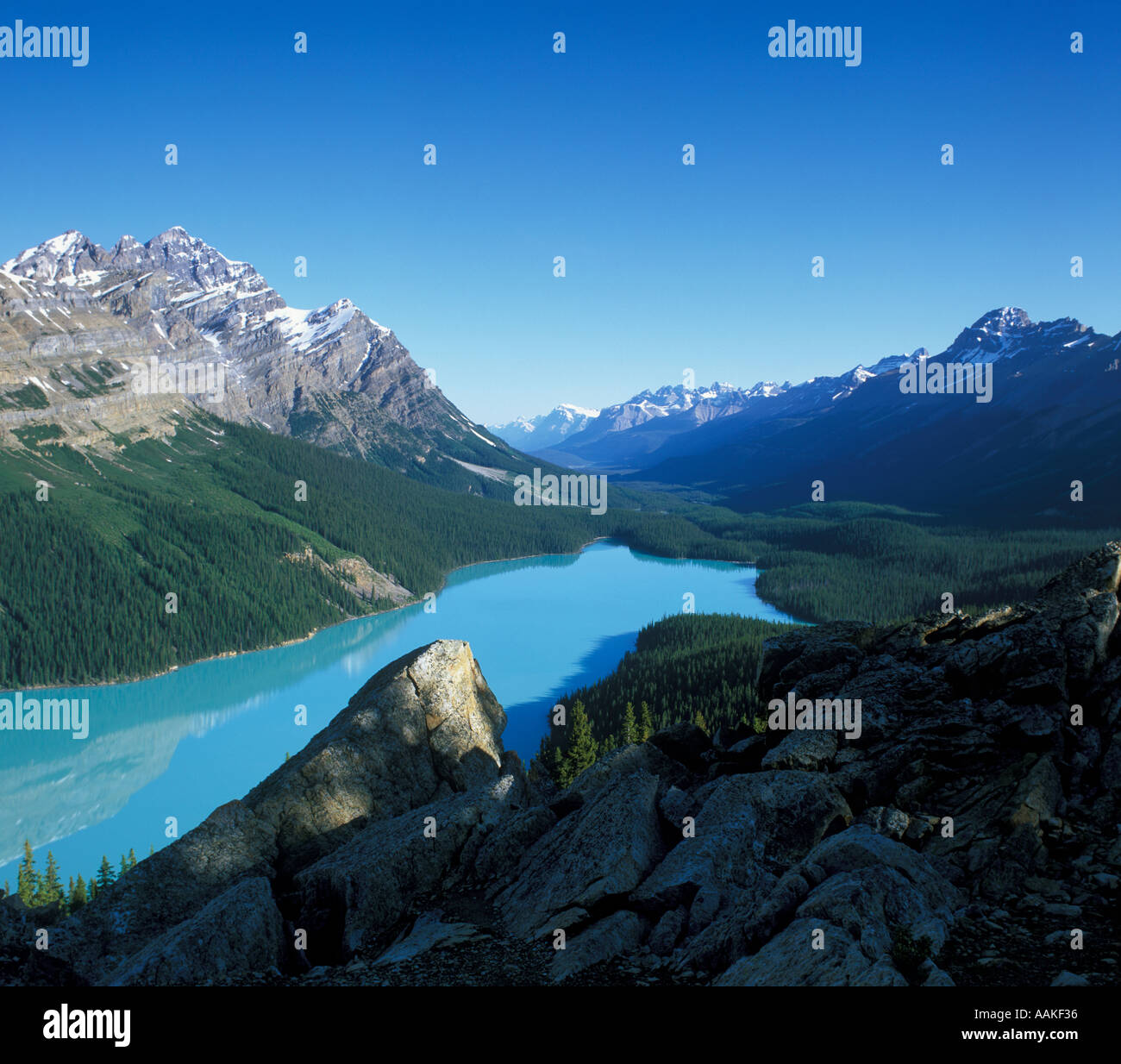 Peyto Lake in Banff National Park in the Rocky Mountains of Alberta ...