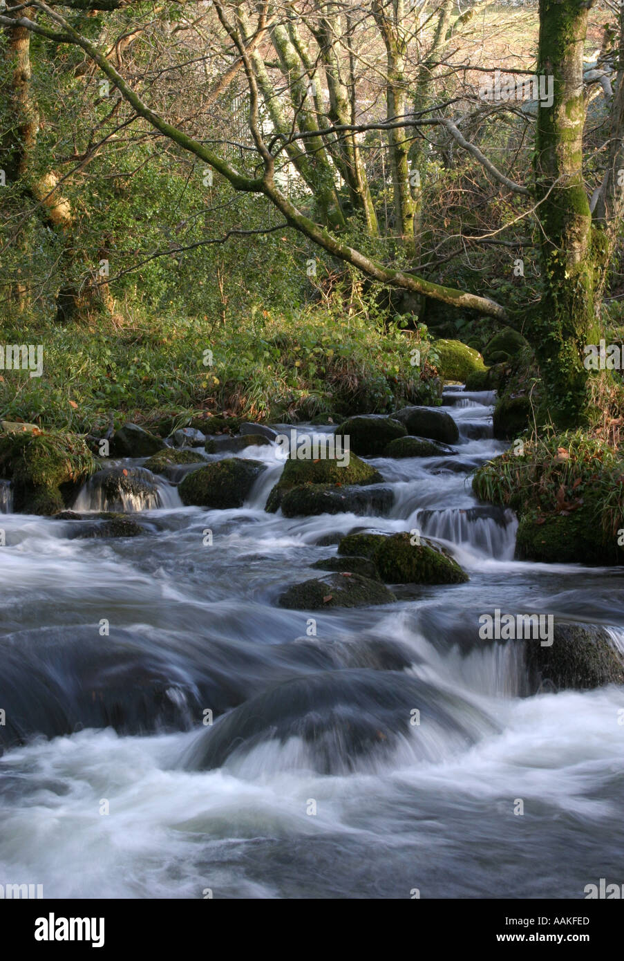 Tal y bont wales hires stock photography and images Alamy