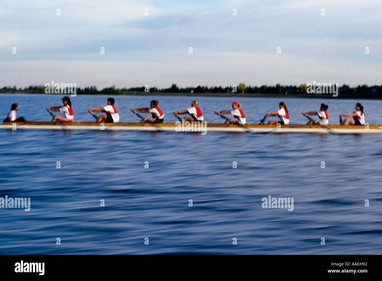 Female rowing team Stock Photo - Alamy