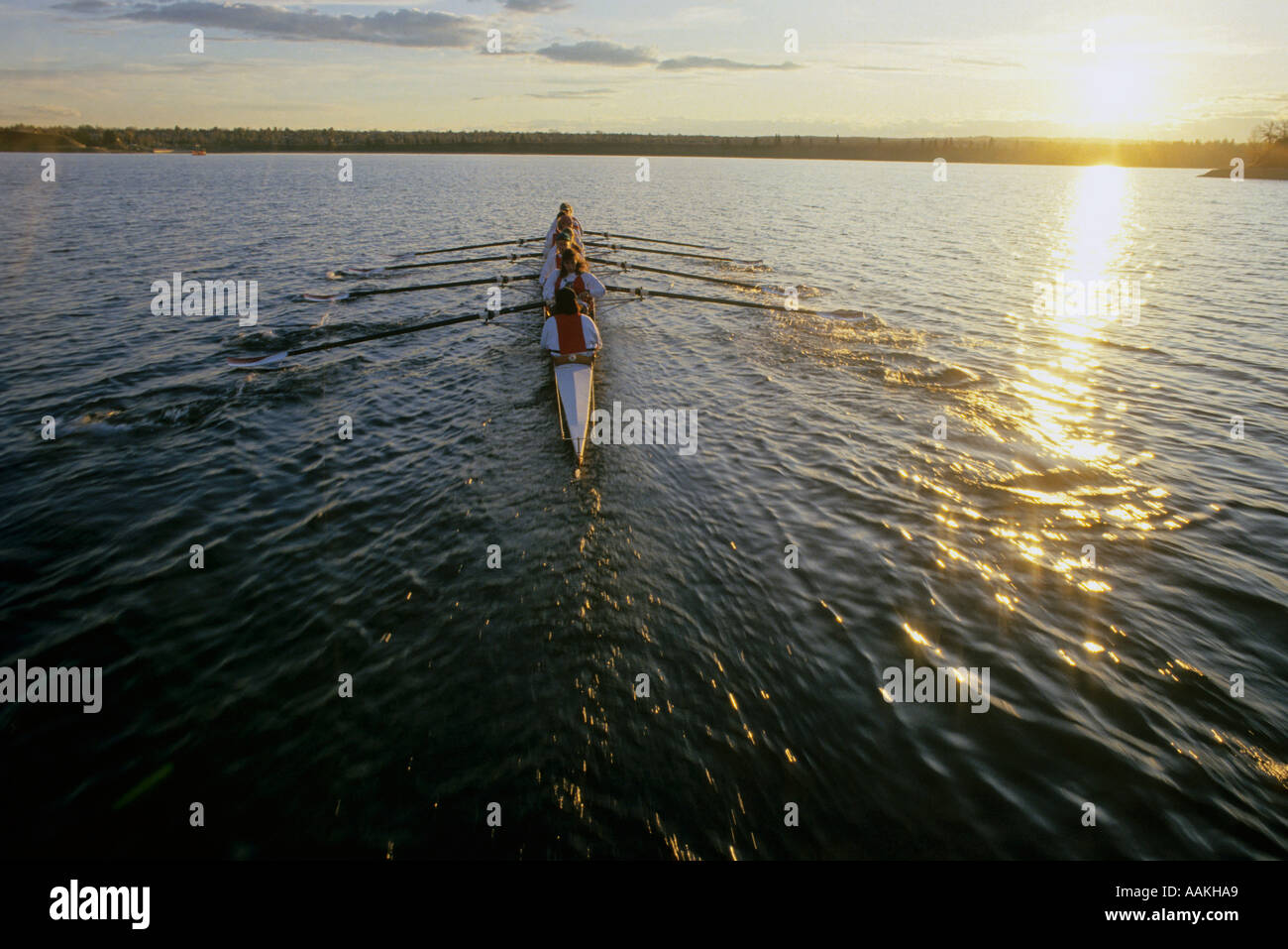 Female rowing team Stock Photo - Alamy