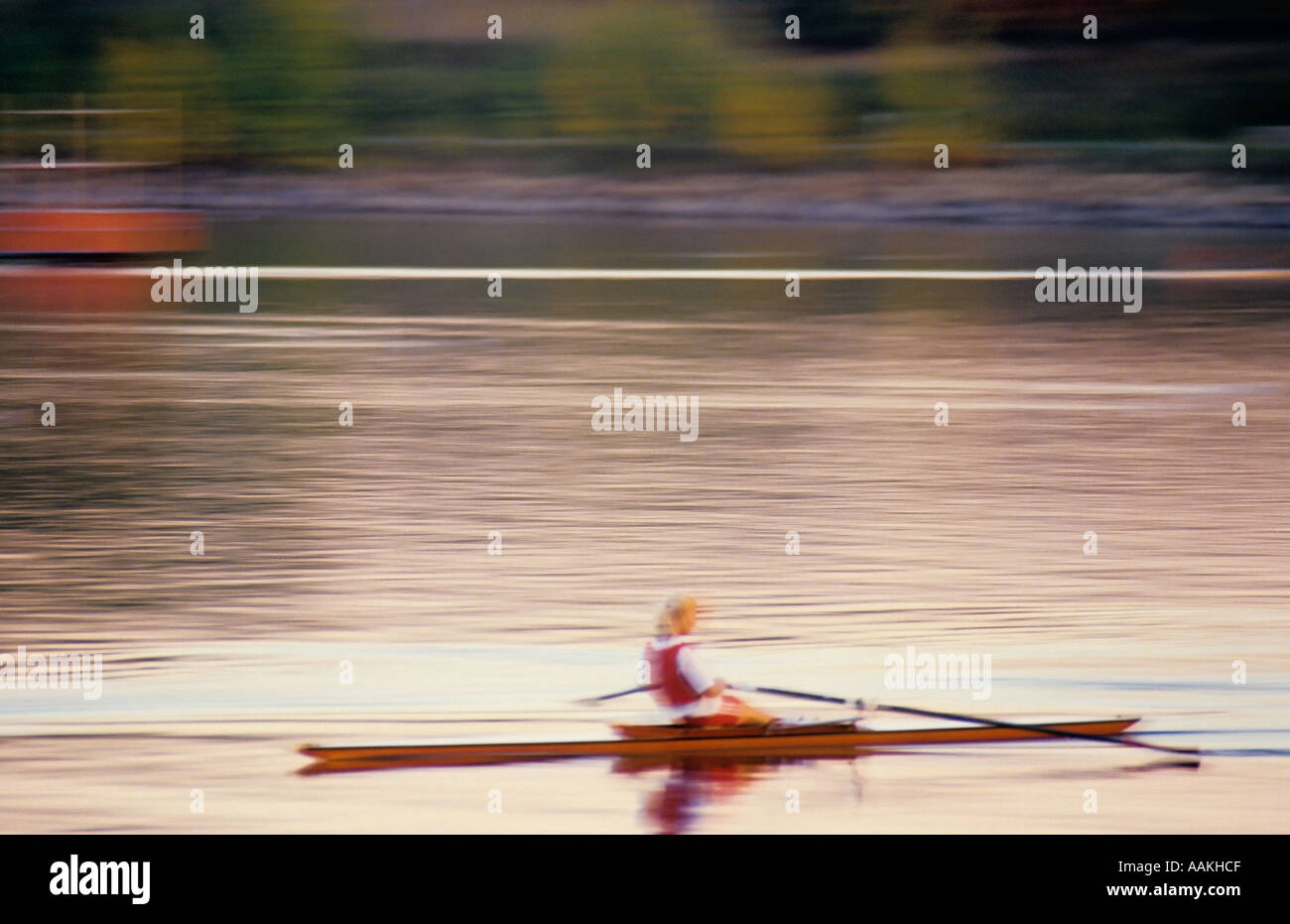 Female rower on lake Stock Photo - Alamy