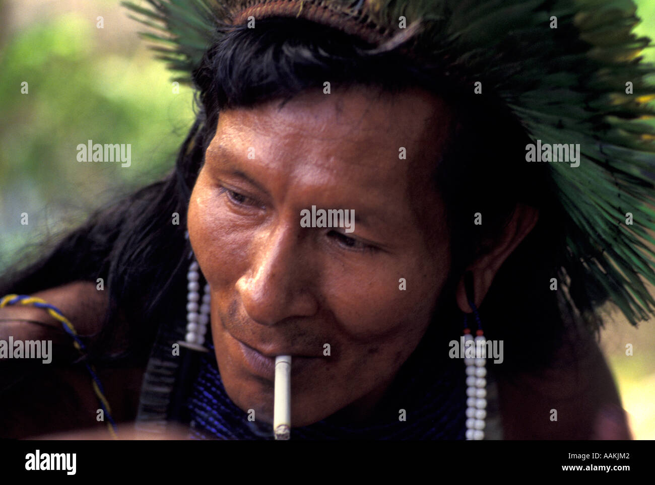 The Buzz on Diné (Navajo) Healer Perspectives On Commercial ... thumbnail