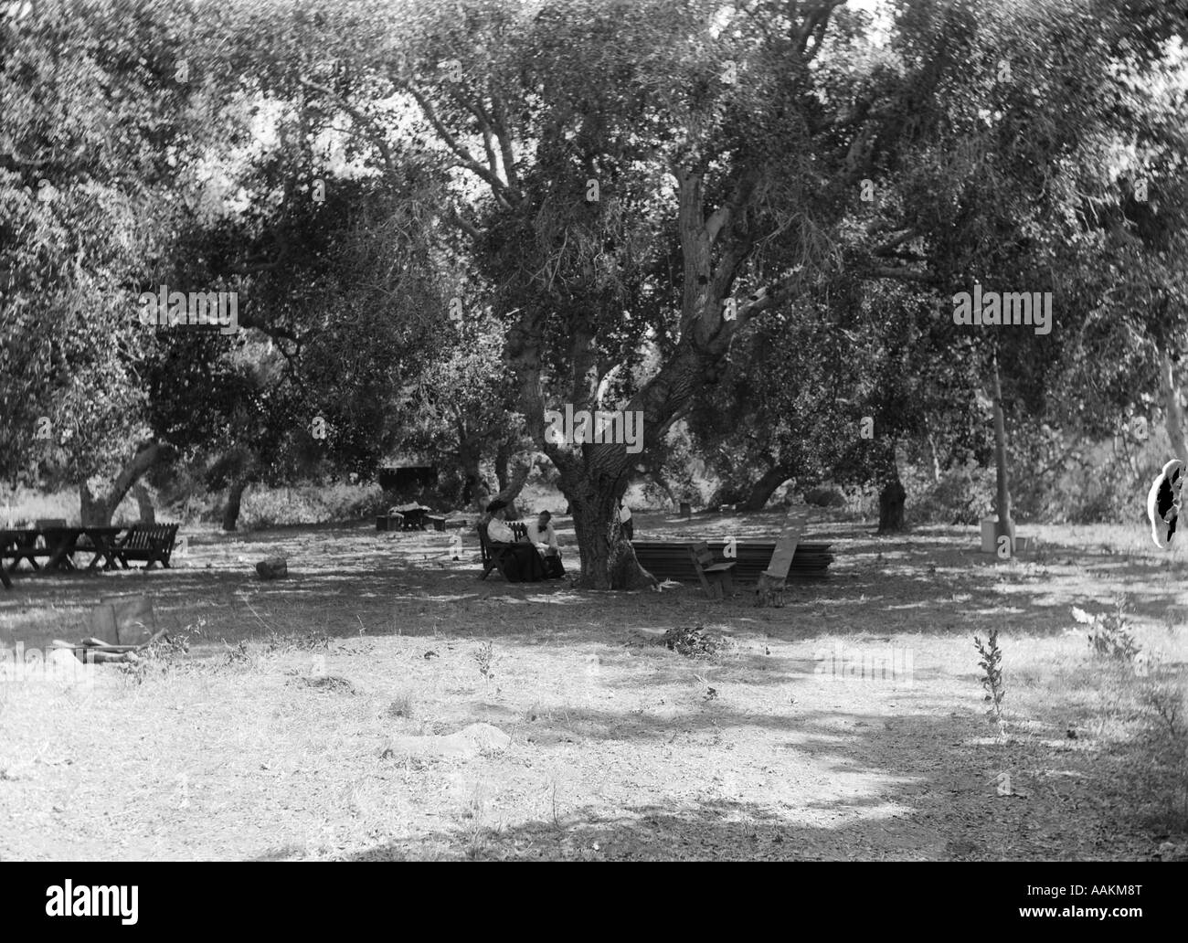 Couple sitting under shade tree Black and White Stock Photos & Images ...