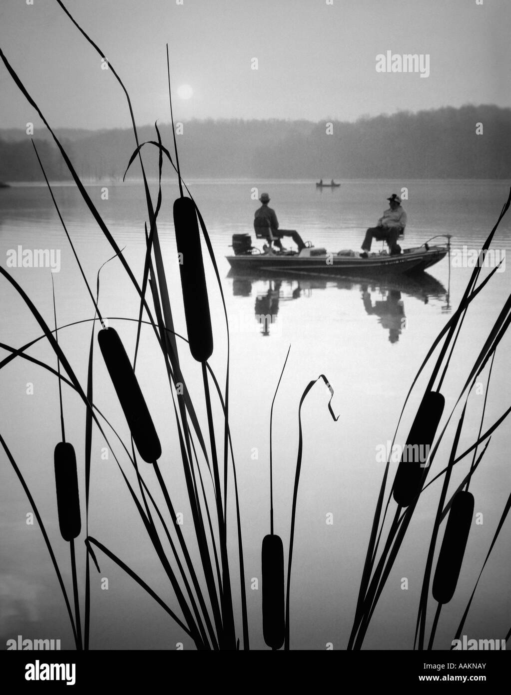 1980s TWO MEN IN BASS FISHING BOAT ON CALM WATER LAKE CATTAILS IN FOREGROUND Stock Photo