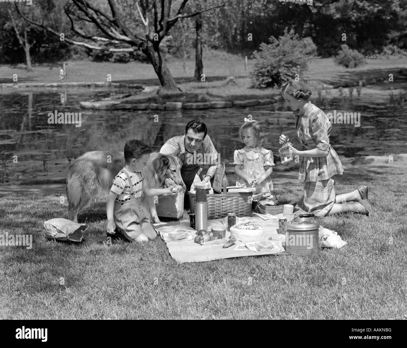 Dog park outdoor in Black and White Stock Photos & Images - Alamy