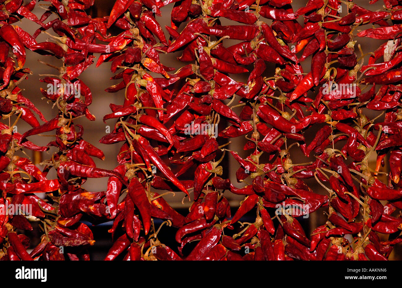 Dried Paprika Hot Peppers at Vasarcsarnok Main market hall Budapest Hungary Stock Photo