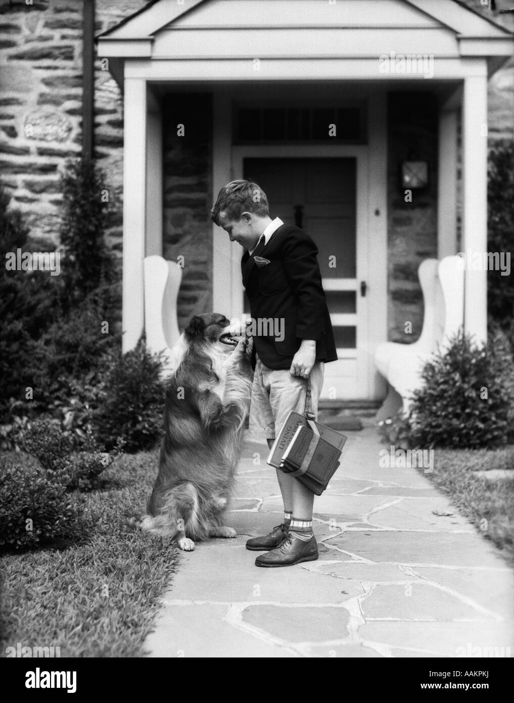1930s BOY ON SIDEWALK LEAVING FOR SCHOOL SHAKING HANDS WITH COLLIE DOG Stock Photo