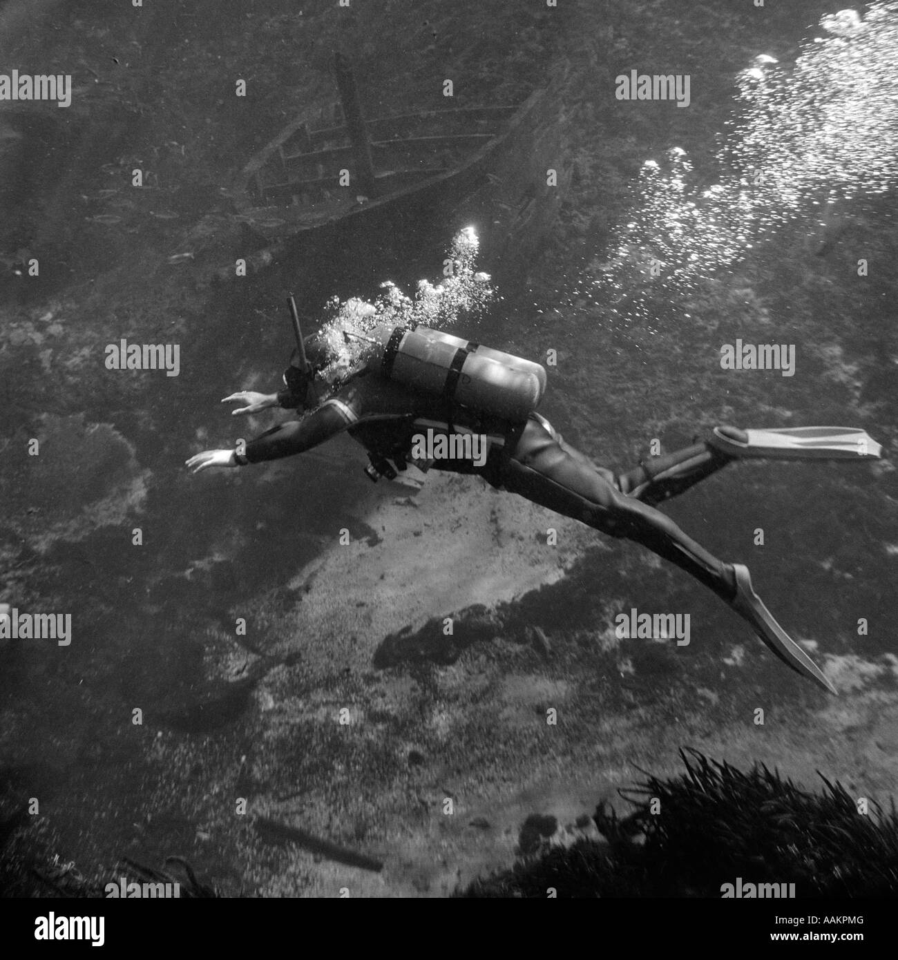 1960s SCUBA DIVER UNDERWATER SWIMMING IN WET SUIT AND FLIPPERS AS BUBBLES RISE FROM THE AIR REGULATOR Stock Photo