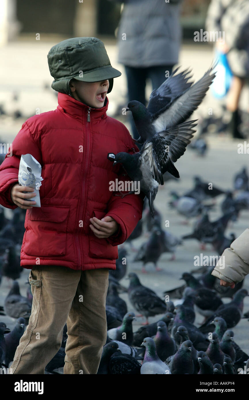 A small boy feeds pigeons in a square in Venice. Stock Photo