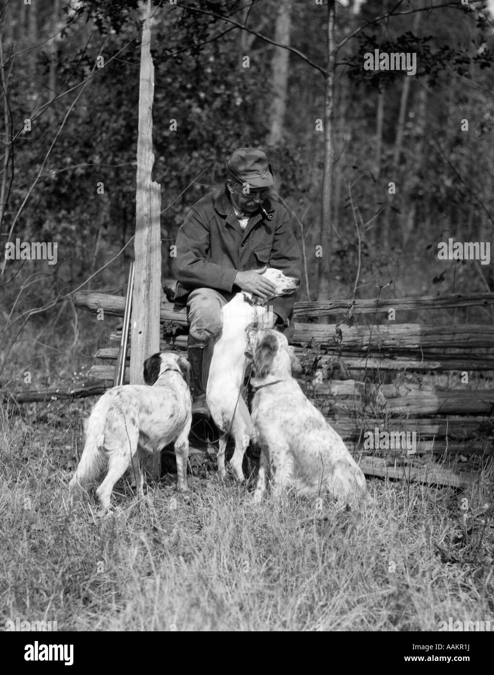 1920s ELDERLY MAN SITTING WITH SHOTGUN RESTING AGAINST FENCE PETTING ONE OF THREE ENGLISH SETTER HUNTING DOGS Stock Photo
