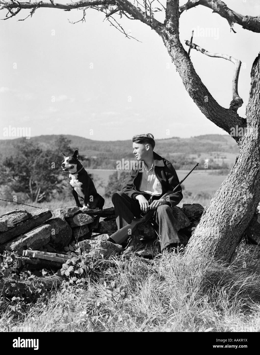1930s BOY SITTING ON STONE FENCE WITH BOSTON TERRIER DOG RESTING RIFLE BETWEEN LEGS Stock Photo