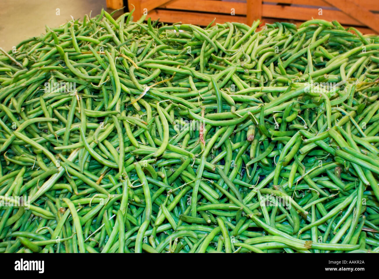 beans string kentucky wonder stringless haricot pole snap Stock Photo