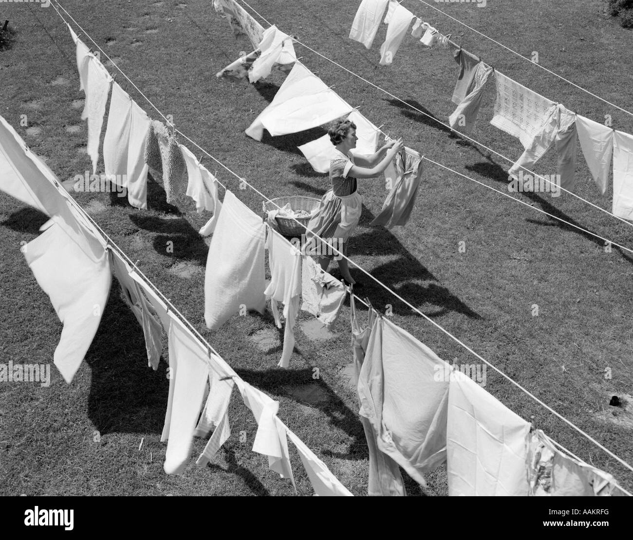 1950s WOMAN HANGING LAUNDRY OUTDOORS ON SEVERAL CLOTHESLINES Stock Photo