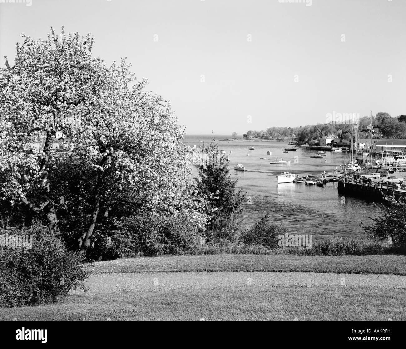 1950s boats hires stock photography and images Alamy