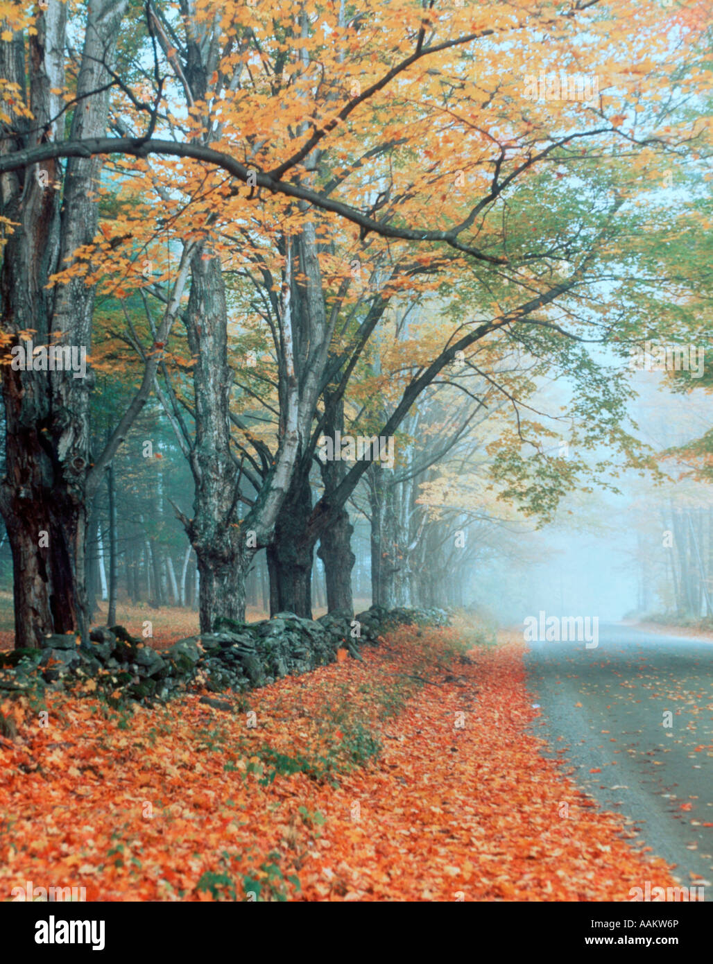 MISTY AUTUMN ROAD LANDSCAPE Stock Photo - Alamy