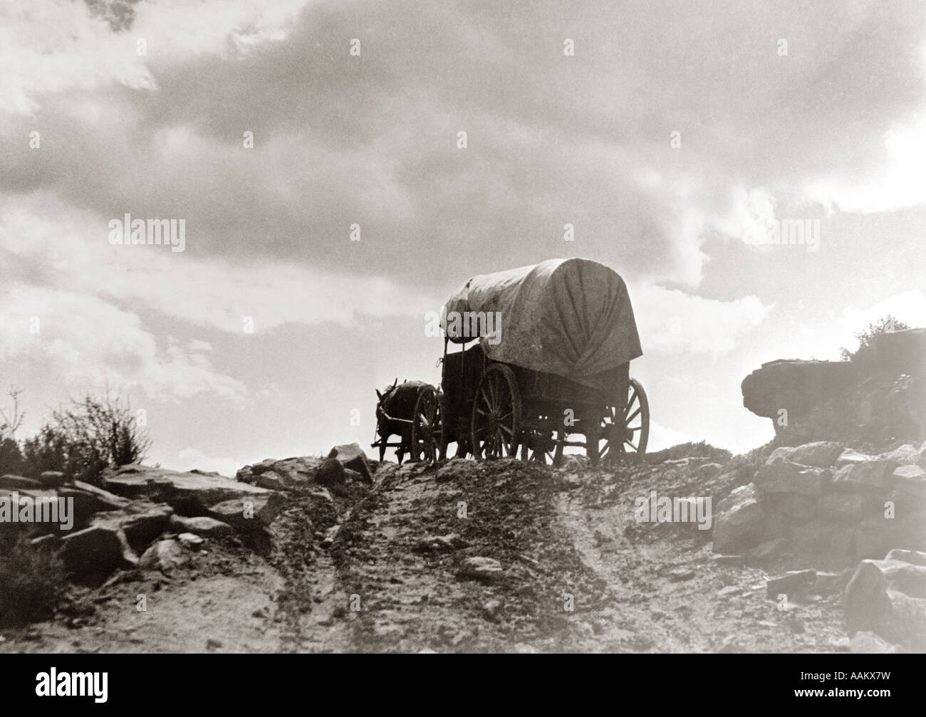 1800s HORSE AND WAGON ON DIRT ROAD ON CREST OF HILL Stock Photo