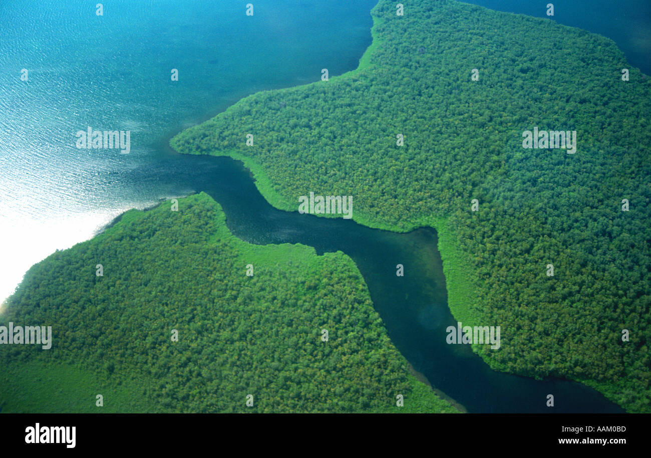 Aerial view of mangrove swamps - Aerial View Of Mangrove Swamps Florida Usa AAM0BD