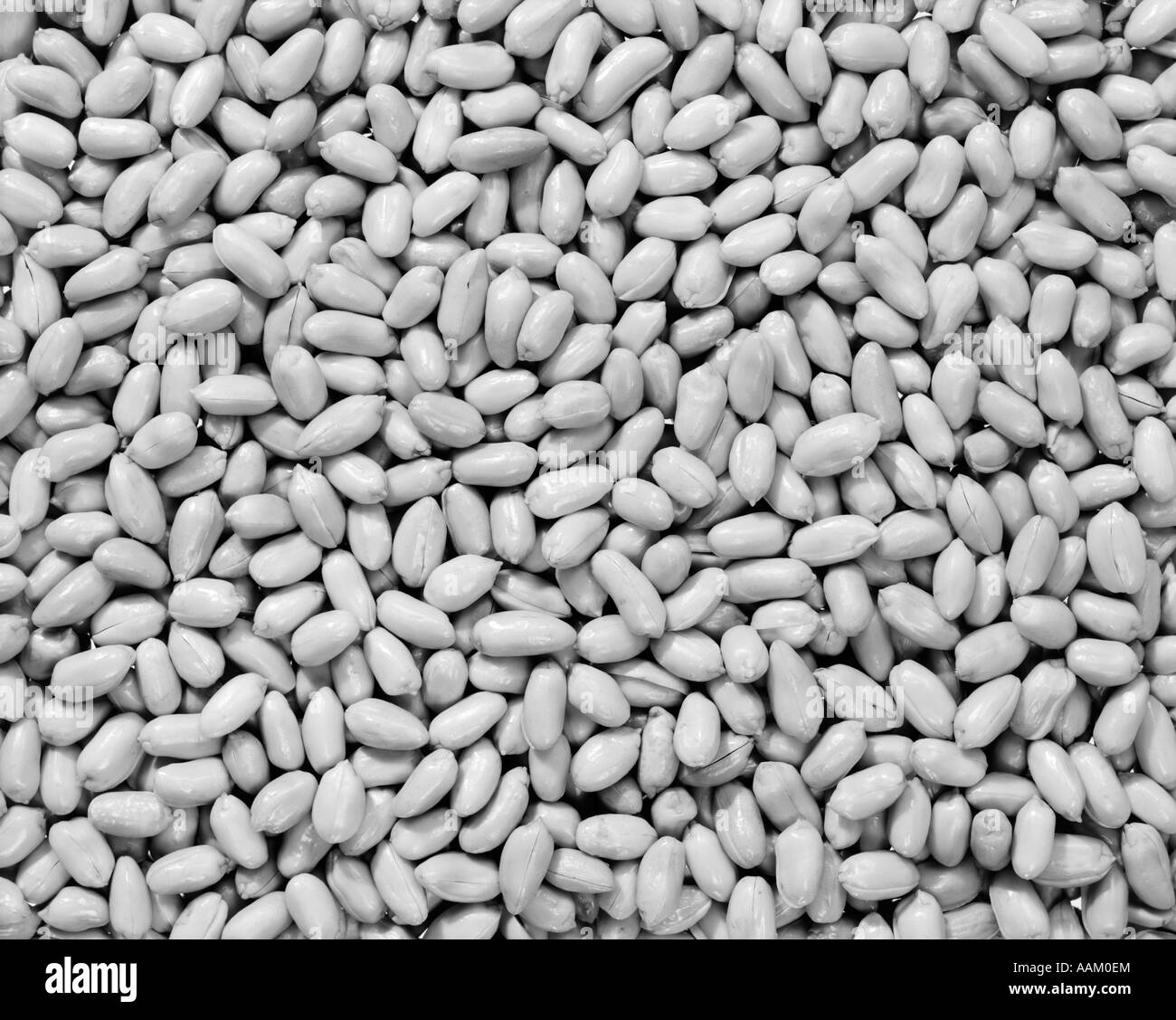 1950s UNSALTED SHELLED PEANUTS Stock Photo Alamy 1950s-unsalted-shelled-peanuts-stock-photo-alamy
