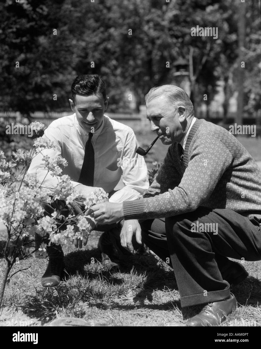1930s 1940s 2 ADULT MEN FATHER & SON KNEELING IN GARDEN LOOKING AT FLOWERING SHRUB Stock Photo