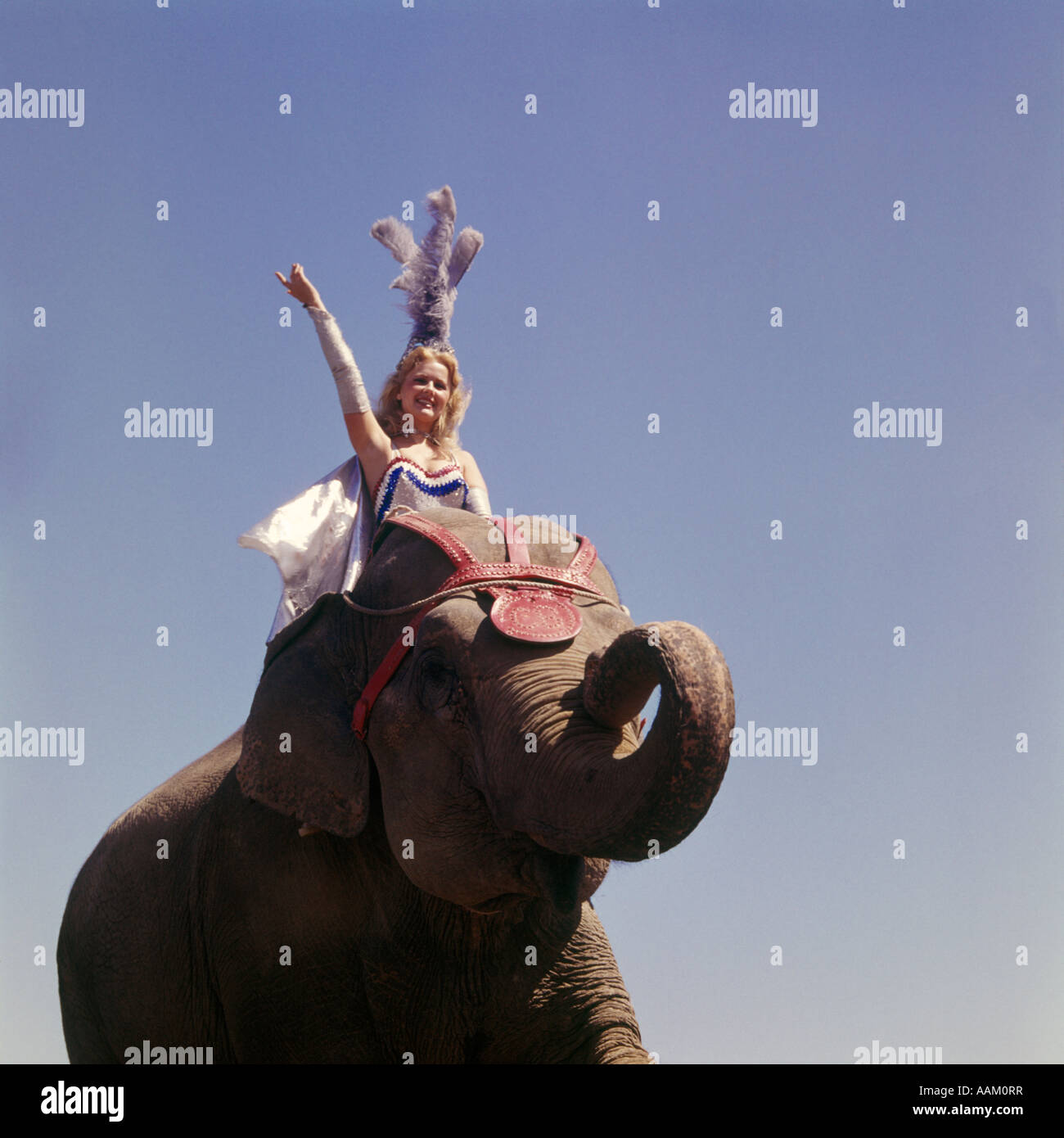 Circus elephant woman hires stock photography and images Alamy
