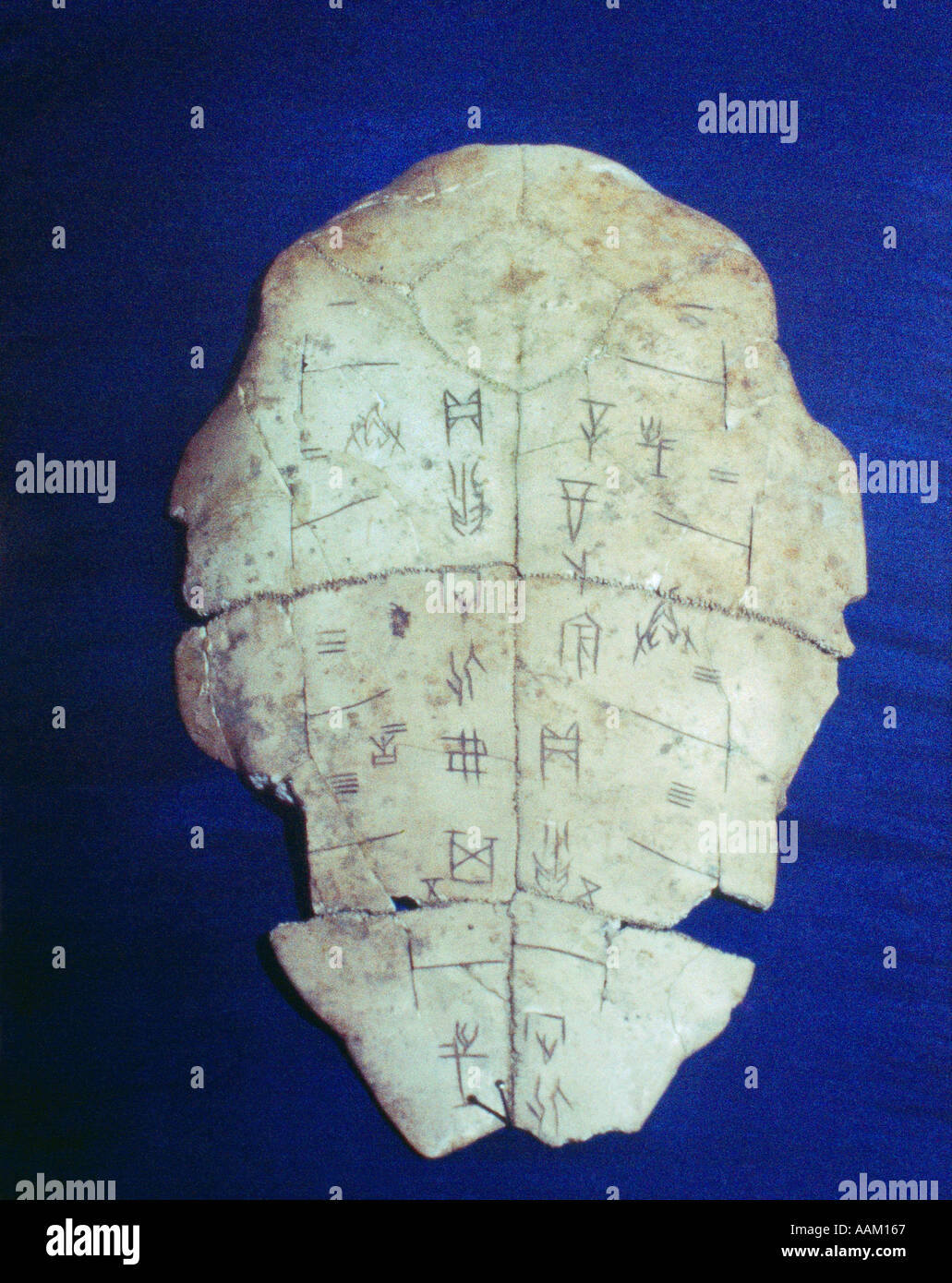 Taipei Taiwan Inscribed Turtle Plastron National Museum Ancient Chinese Writing Symbols Stock Photo
