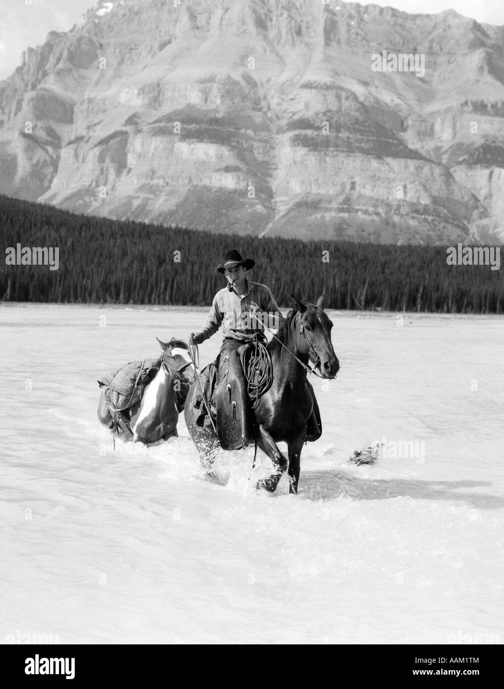 mountain horse river chaps