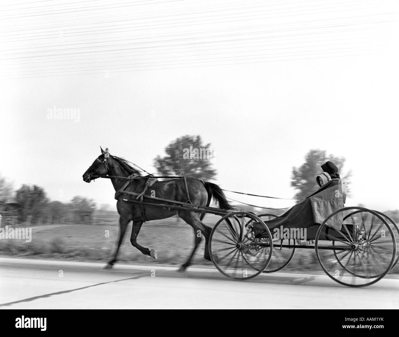 Child riding horse in Black and White Stock Photos & Images - Alamy