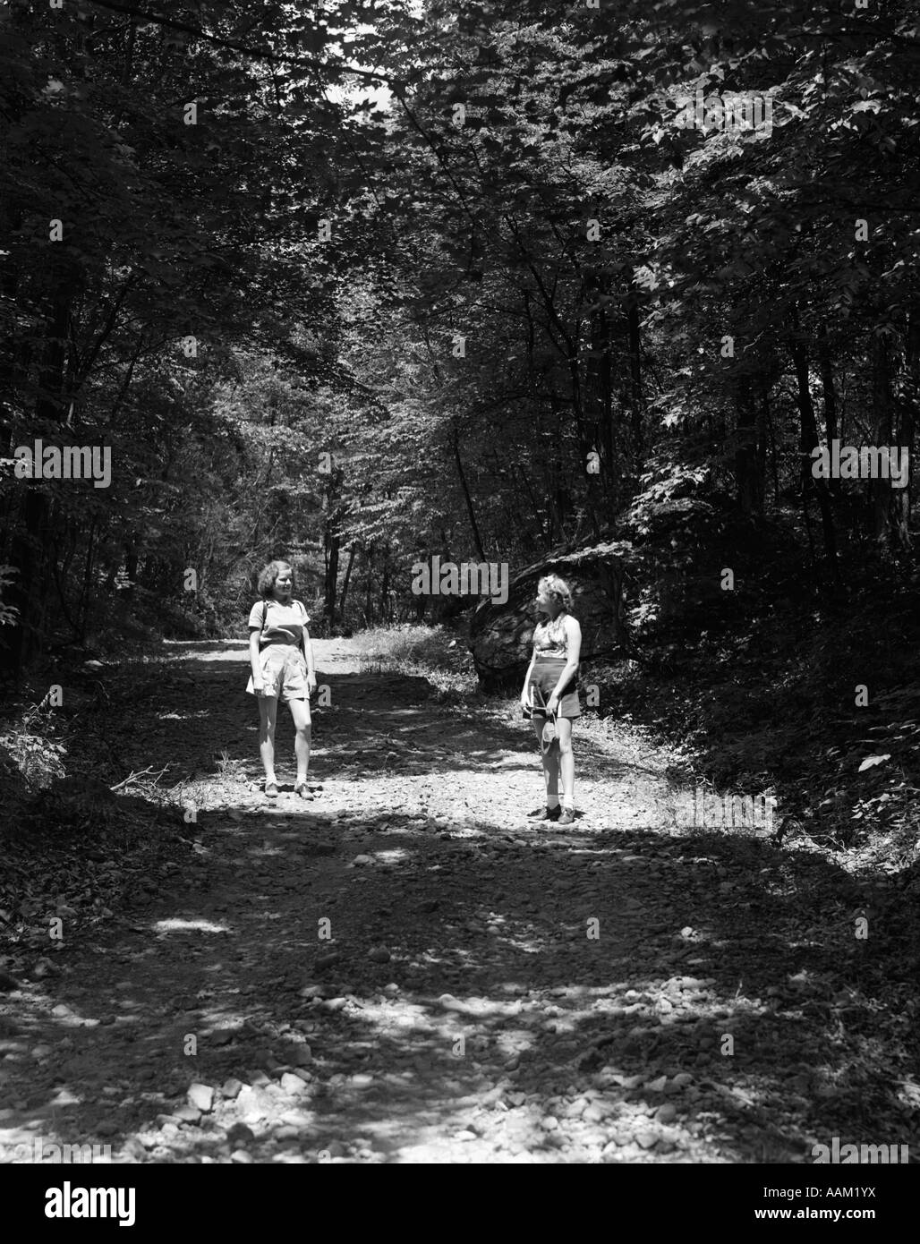 TWO LADIES WOODS NATURE TREES PATH 1940s Photo - Alamy
