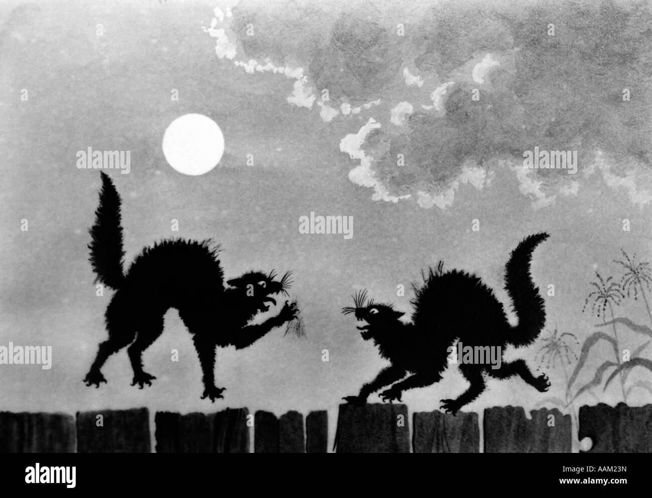 ILLUSTRATION TWO BLACK CATS ON FENCE UNDER MOON FIGHTING Stock Photo