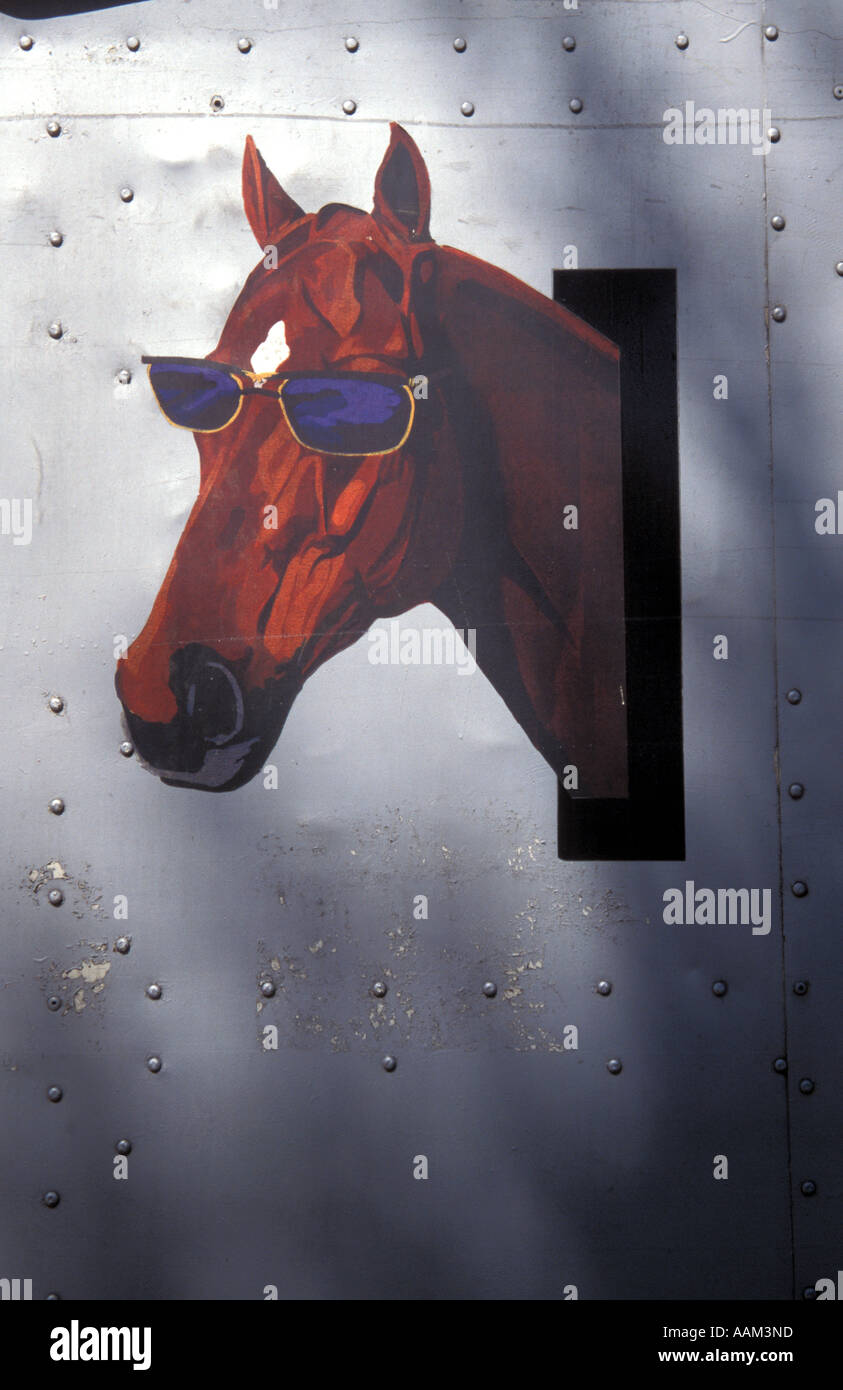 Transport Out of Africa The Horse Horse Wearing Sunglasses Stock