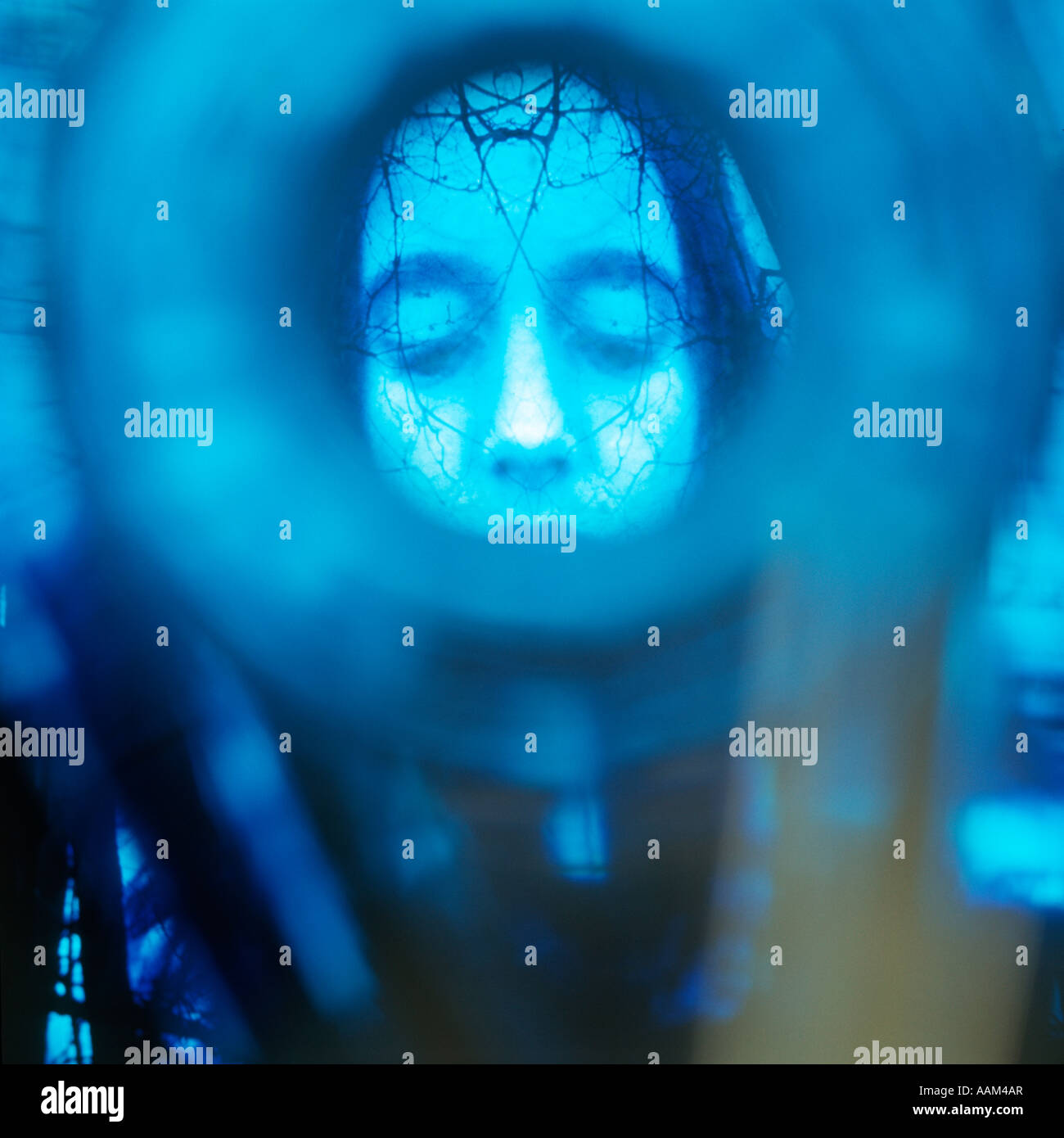 1960s 1970s BIZARRE BLUE GHOSTLY IMAGE OF WOMAN'S FACE OVERLAPPED WITH BRANCHES Stock Photo