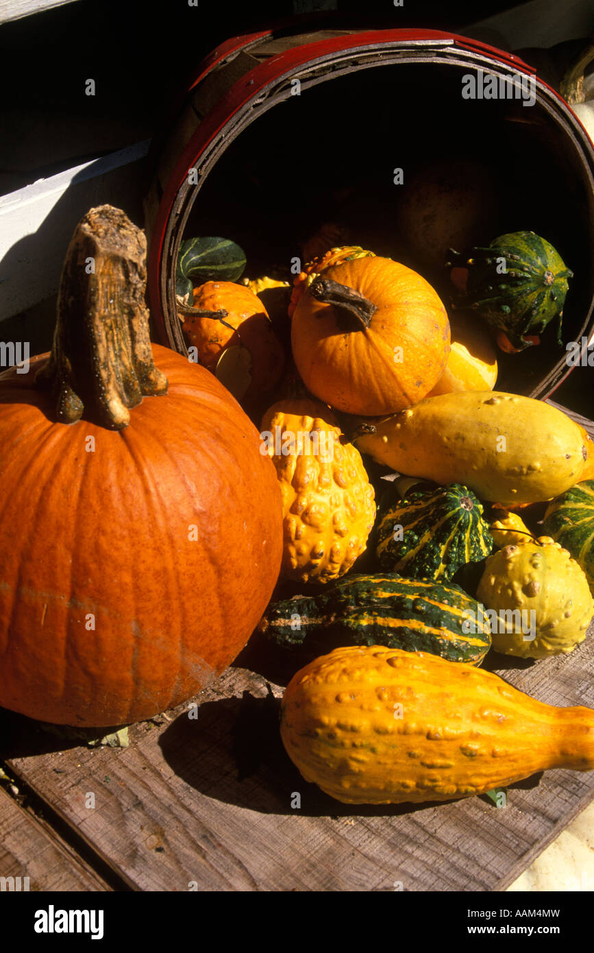 Coast gourds hi-res stock photography and images - Alamy
