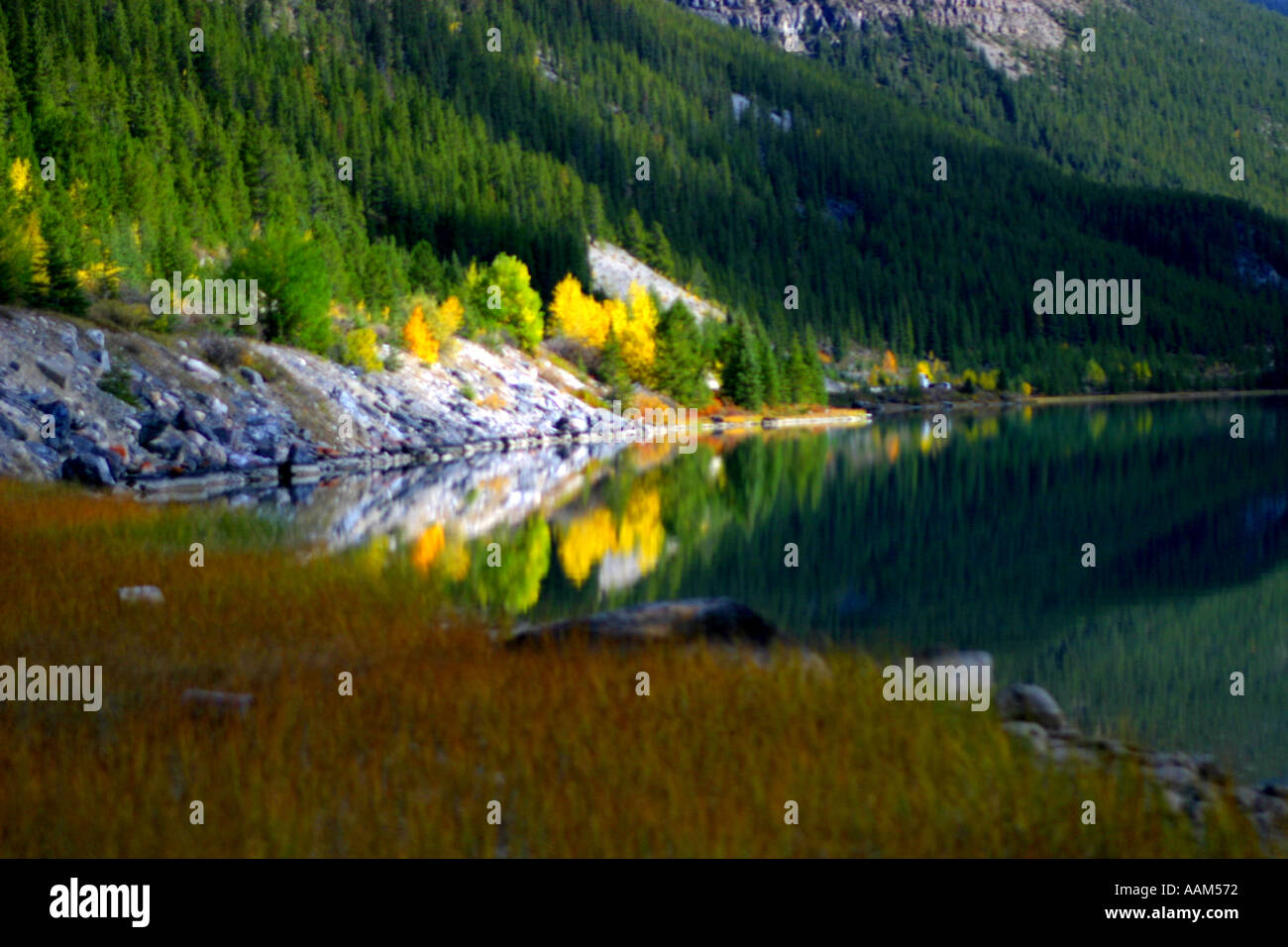 Horizontal Fall colors in Banff National Park Alberta Canada North