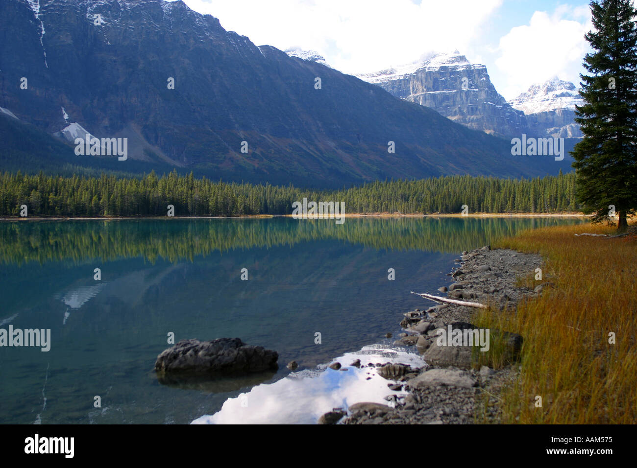 Horizontal Fall colors in Banff National Park Alberta Canada North