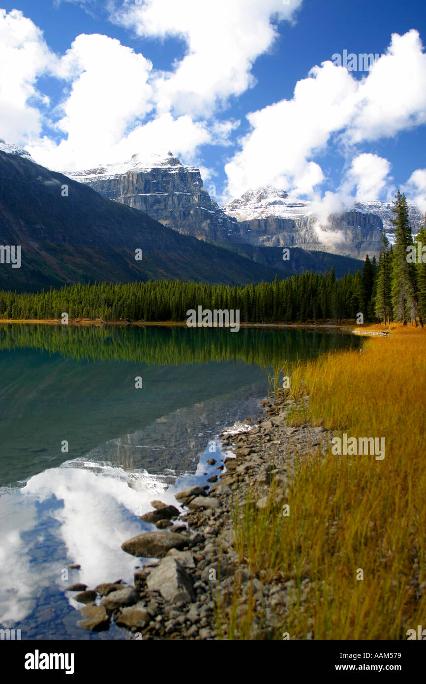 Horizontal Fall colors in Banff National Park Alberta Canada North