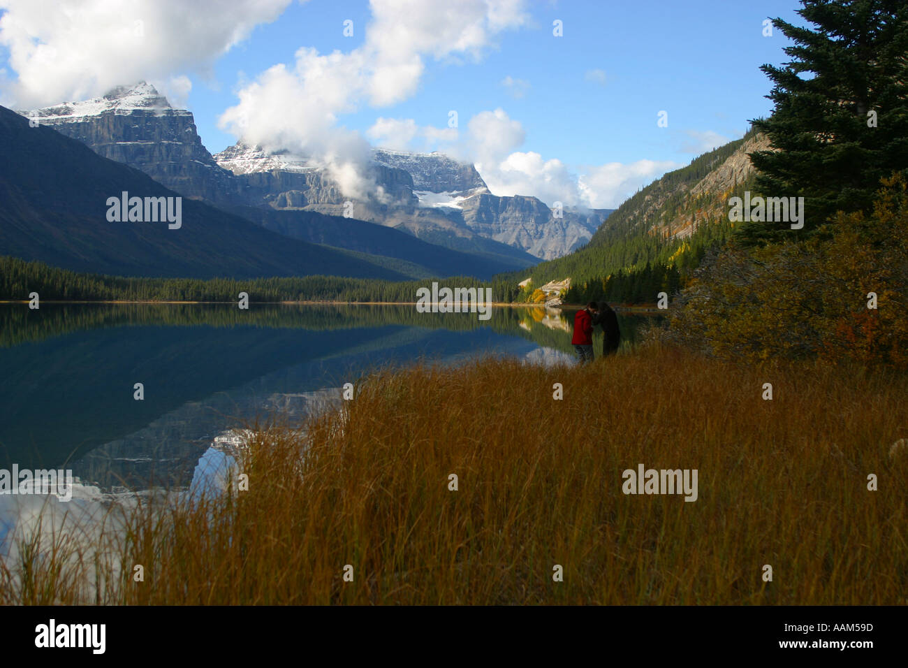 Horizontal Fall colors in Banff National Park Alberta Canada North