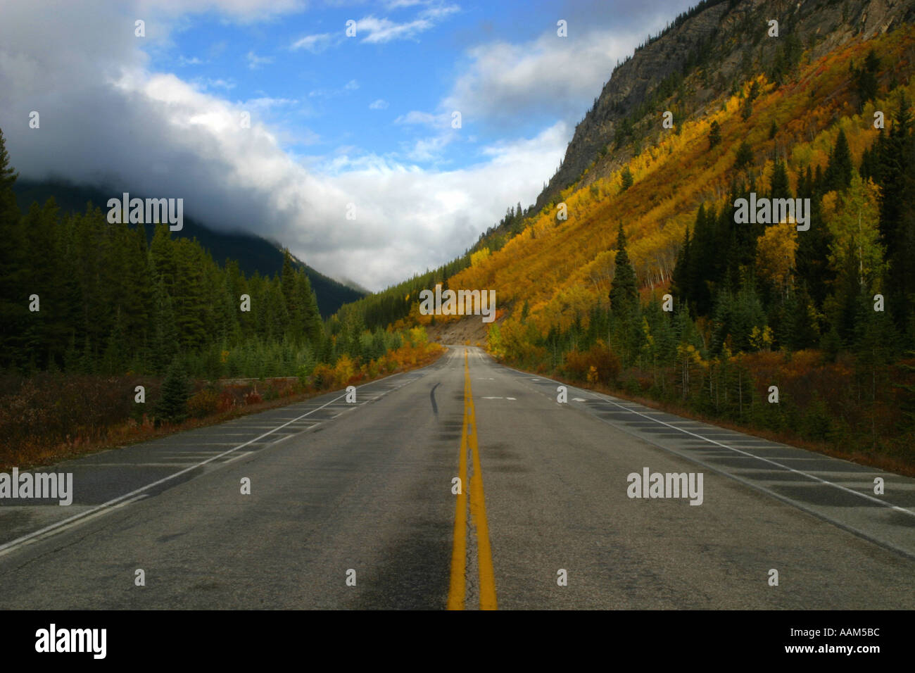 Horizontal Fall colors in Banff National Park Alberta Canada North