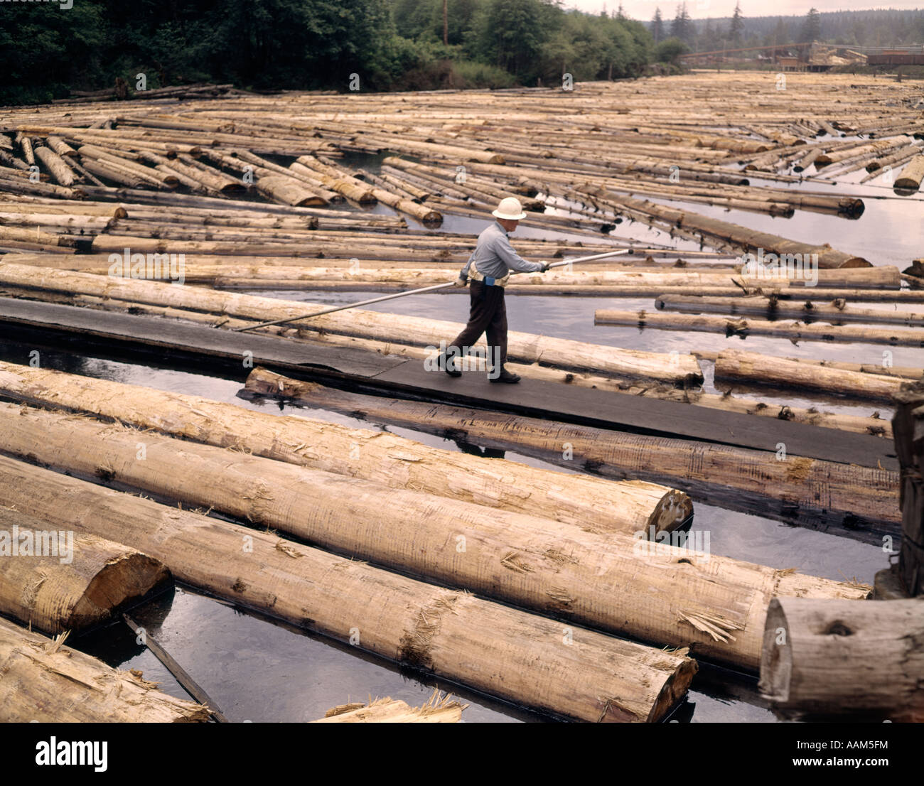 1970s LUMBER YARD MILL POND WORKER WEARING HARD HAT Stock Photo Alamy