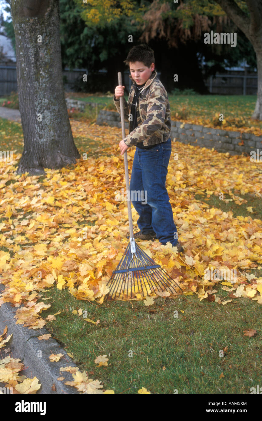 Children raking leaves hires stock photography and images Alamy