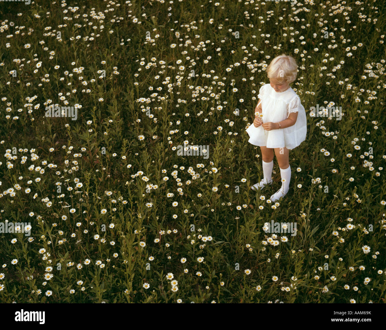 toddler girl white socks
