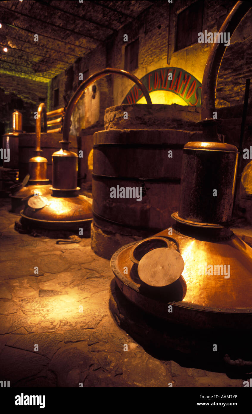 Tequila production. Old still, alembic ( currently a museum ) belonging