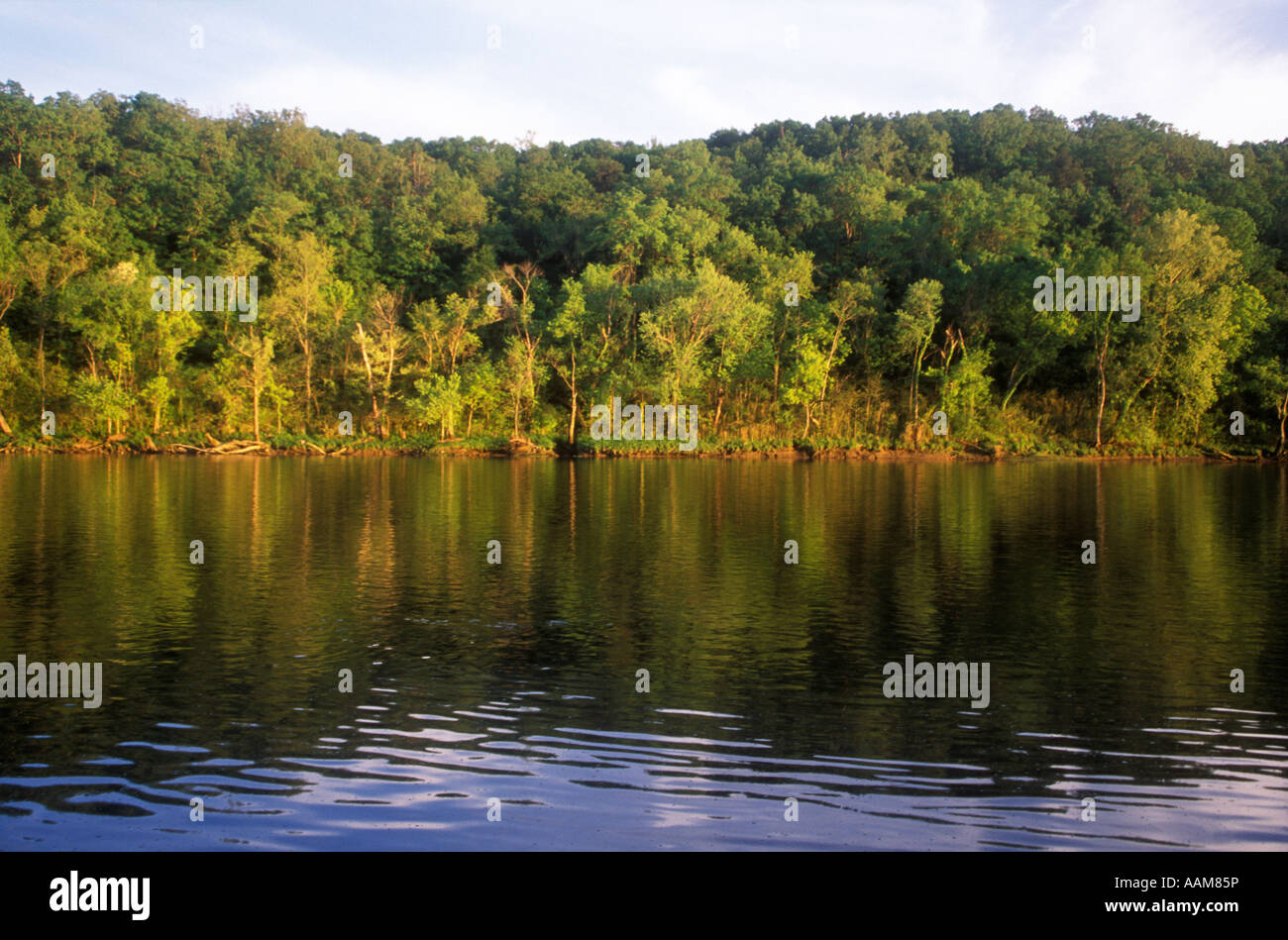 BULL SHOALS AR WHITE RIVER FAMOUS FOR TROUT FISHING Stock Photo - Alamy