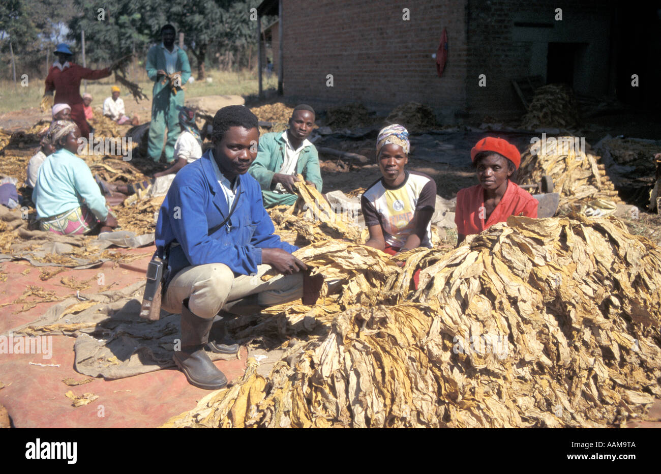 Zimbabwe Farming Stock Photos & Zimbabwe Farming Stock Images - Alamy