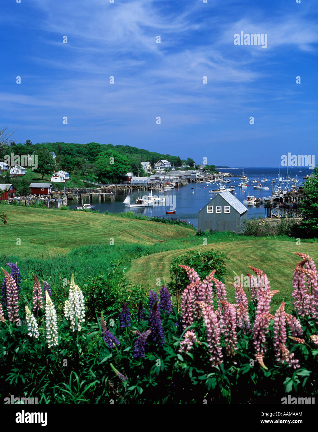 NEW HARBOR MAINE Stock Photo Alamy