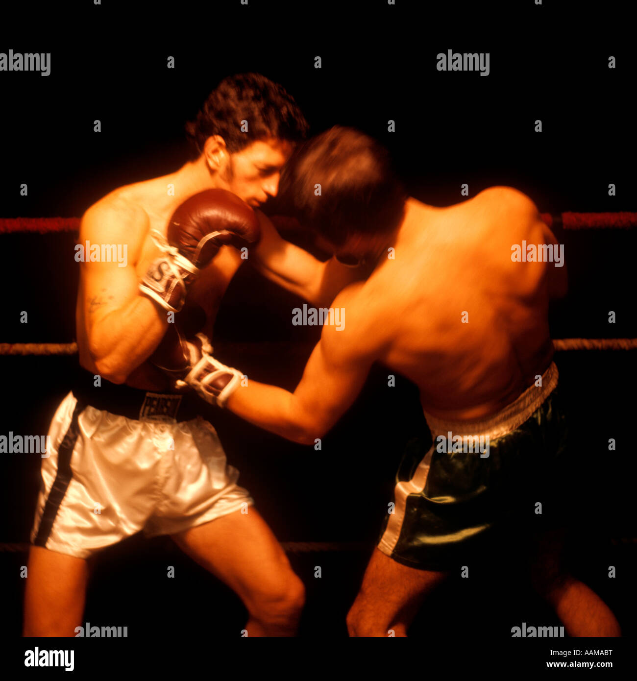 1960s TWO MEN BOXING ONE FACE CAMERA WHITE TRUNKS GLOVES ROPES RING PUNCH PUNCHING FIGHT PUGILIST FIGHTER Stock Photo