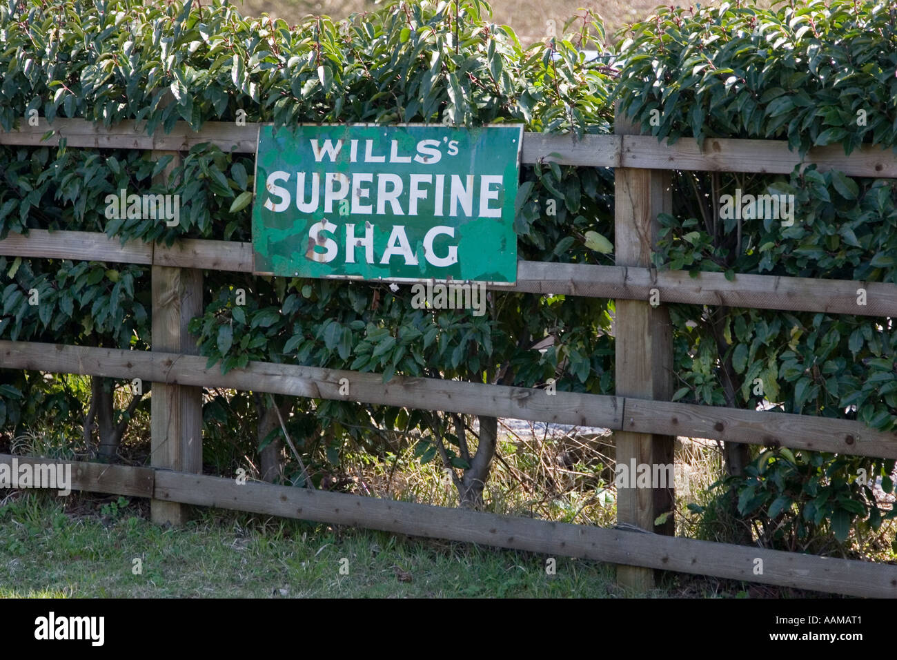 Wills Superfine Shag sign on fence Stock Photo