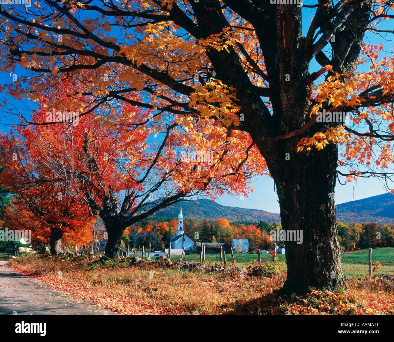 TAMWORTH NH AUTUMN Stock Photo Alamy